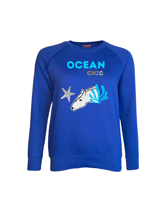 Ocean Chic Raglan Sweater Petite